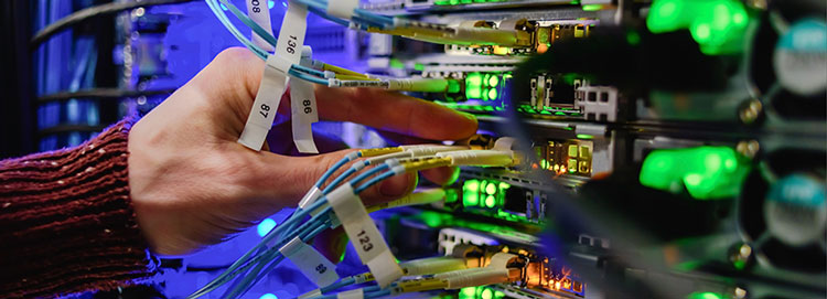 trusted web providers