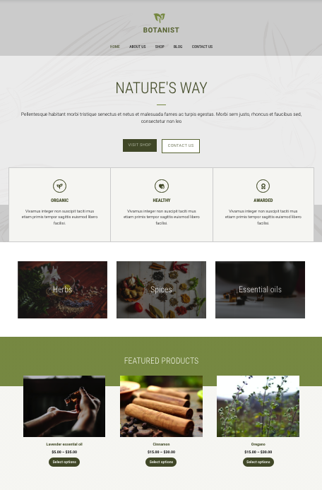 web design development ex11