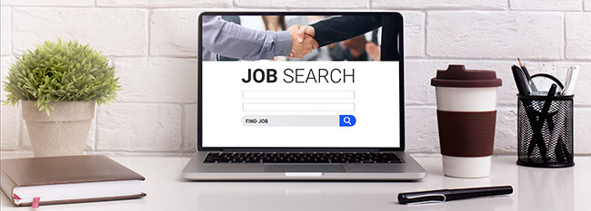 website manager job search